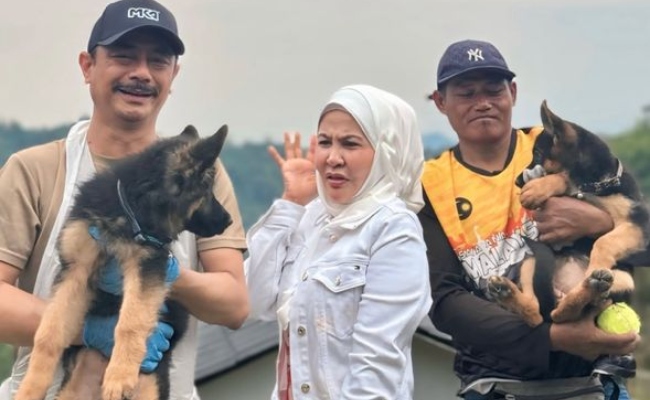 membeli dua ekor anjing K9 baka German Shepherd bernama Inddy dan Izzy