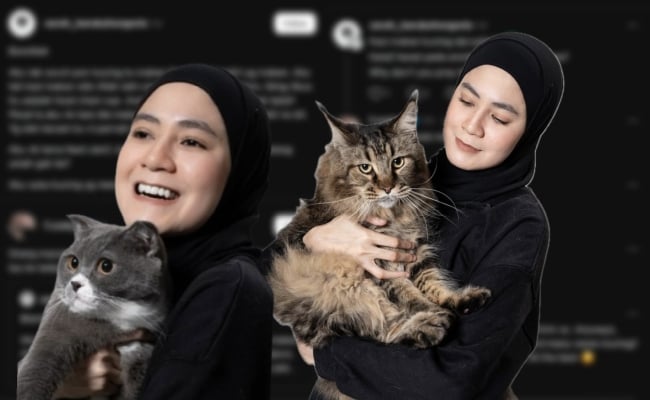 Kucing Jalanan Pun Layak Diberi Makan – Teguran ‘Panas’ Fara Salleh Buat Netizen