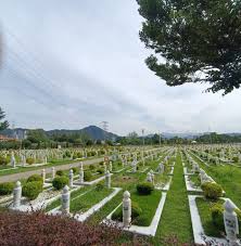 Gambar: Google