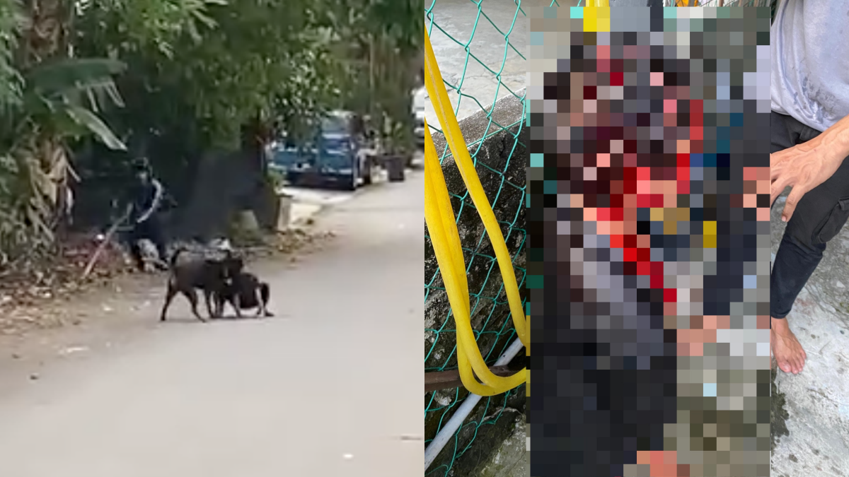 Anjing Serang Kanak-Kanak: Islam Ajar Kita Jangan Melulu Membalas Dendam