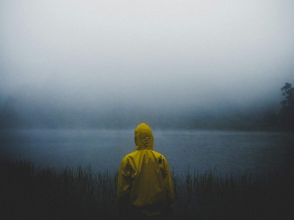 Kredit gambar: Adam, Pexels