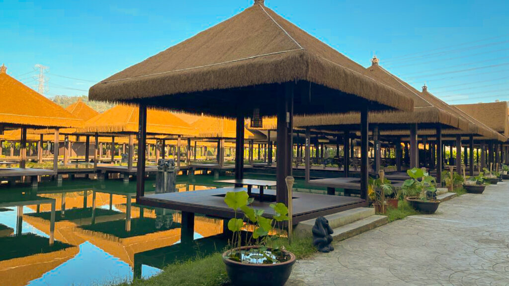 Monkeys Canopy Resort