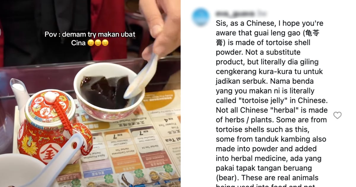 Waspada Kandungan Ubat Tradisional Cina, Wanita Dedah ‘Guai Ling Gao’ Diperbuat Daripada Cengkerang Kura-Kura