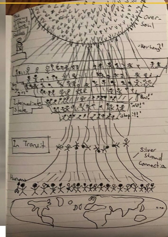 sedar dari koma