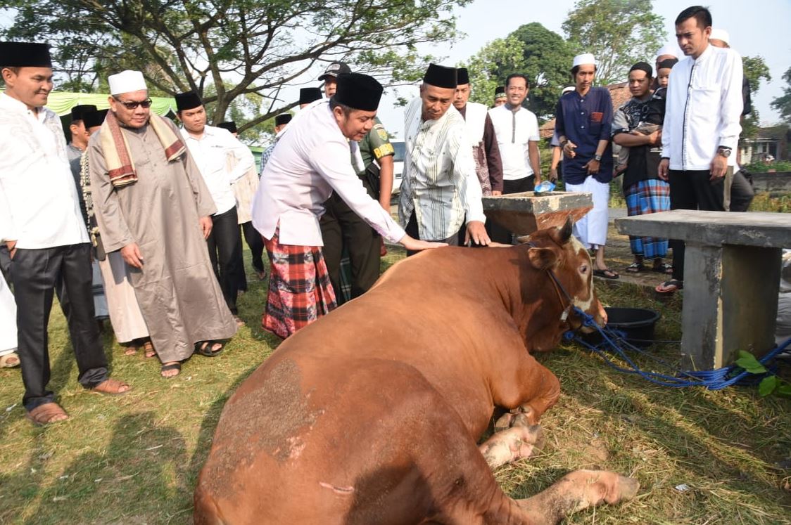 Boleh Ke Melakukan Korban Untuk Orang Yang Sudah Meninggal? Ini Hukum & Cara Pelaksanaannya Ikut Mazhab Syafi’i