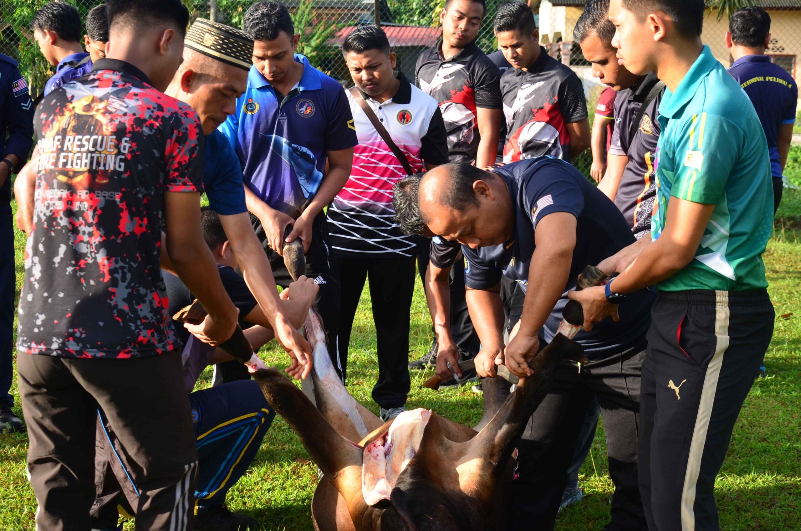 Bolehkah Gabung Niat Korban & Akikah Dalam Satu Sembelihan? Ini Hukum Sebenar Ikut Mazhab Syafie