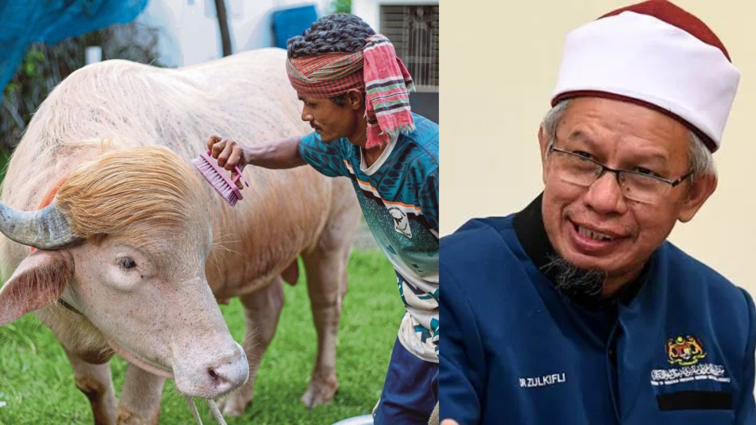 Ramai Keliru, Boleh Ke Korban Haiwan Albino? Ini Penjelasan Dr. Zulkifli & Ketetapan Hukum Syarak