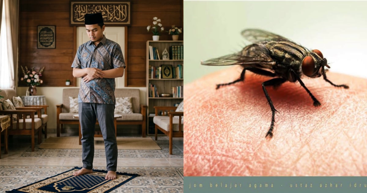 Lalat Hinggap Ketika Solat, Sah Ke Solat Sedangkan Kita Tahu Kakinya Pernah Terkena Najis? Ini Hukumnya