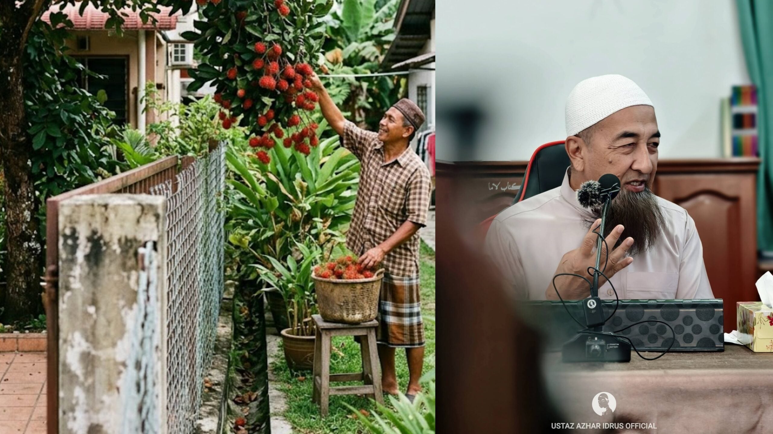 Boleh Ke Ambil Buah Pokok Jiran Yang Gugur Di Kawasan Rumah Kita? UAI Jelaskan Cara Sebenar Urus Hak Jiran