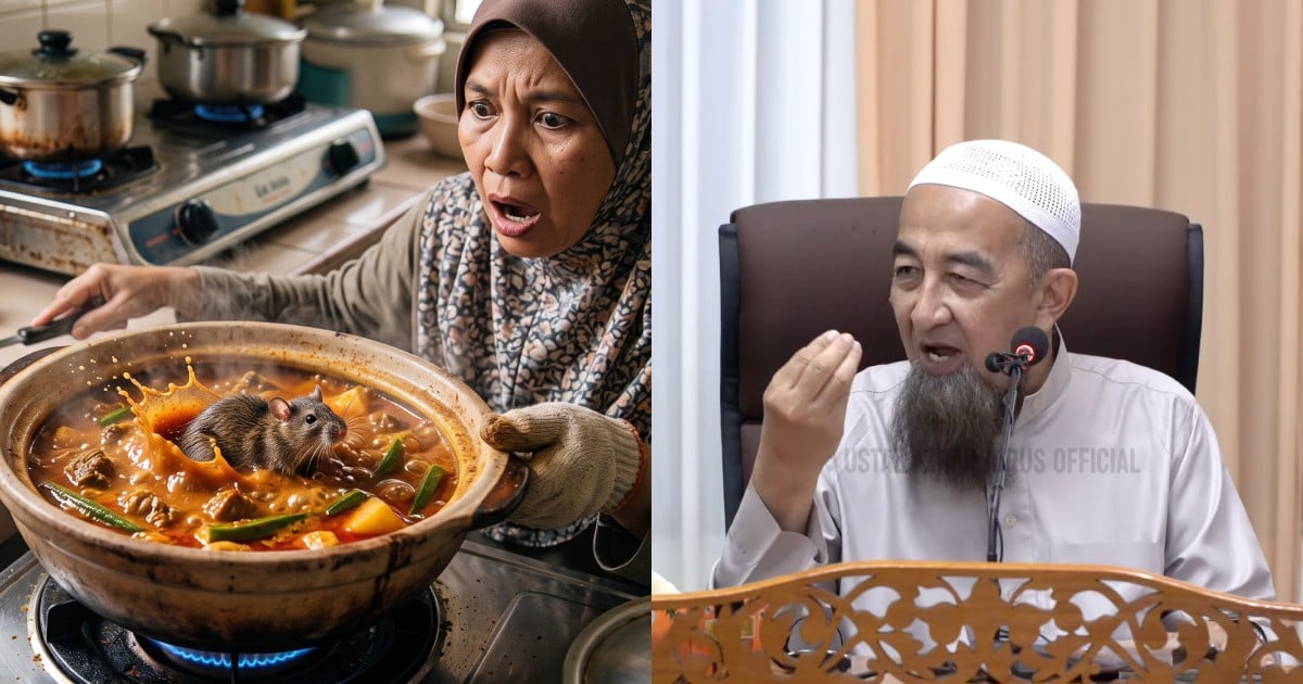 Tikus Jatuh Dalam Kuah Gulai, Boleh Ke Dimakan Selepas Tikus Dibuang? UAI Jelaskan Hukumnya