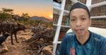 PU Salman Dedah 7 Binatang Sunat Dibunuh Menurut Islam, Termasuk Ketika Berada Di Tanah Haram
