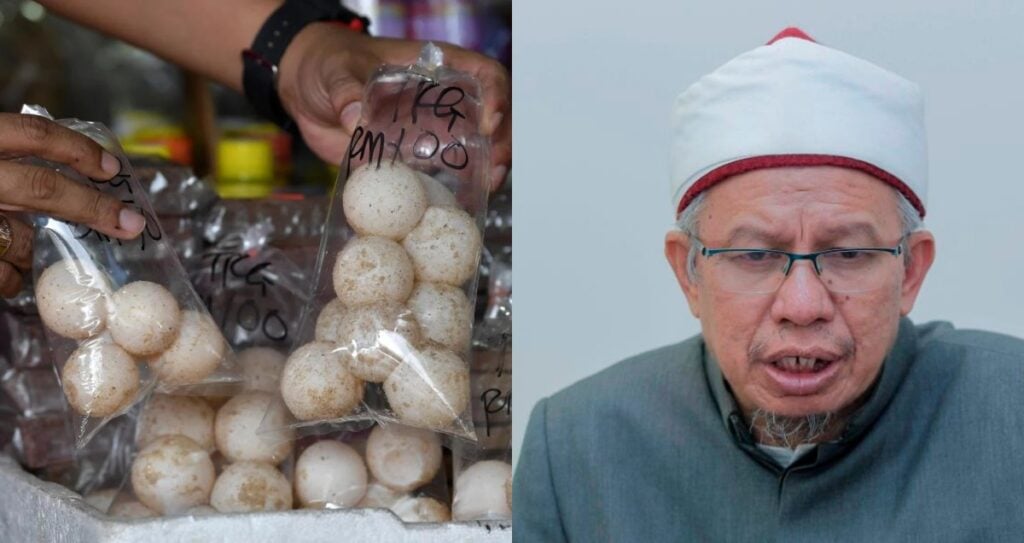 Telur Penyu Halal & Boleh Dimakan Ke? Ini Penjelasan Dr Zulkifli Al-Bakri Tentang Hukum Sebenar Dalam Islam