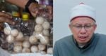 Telur Penyu Halal & Boleh Dimakan Ke? Ini Penjelasan Dr Zulkifli Al-Bakri Tentang Hukum Sebenar Dalam Islam